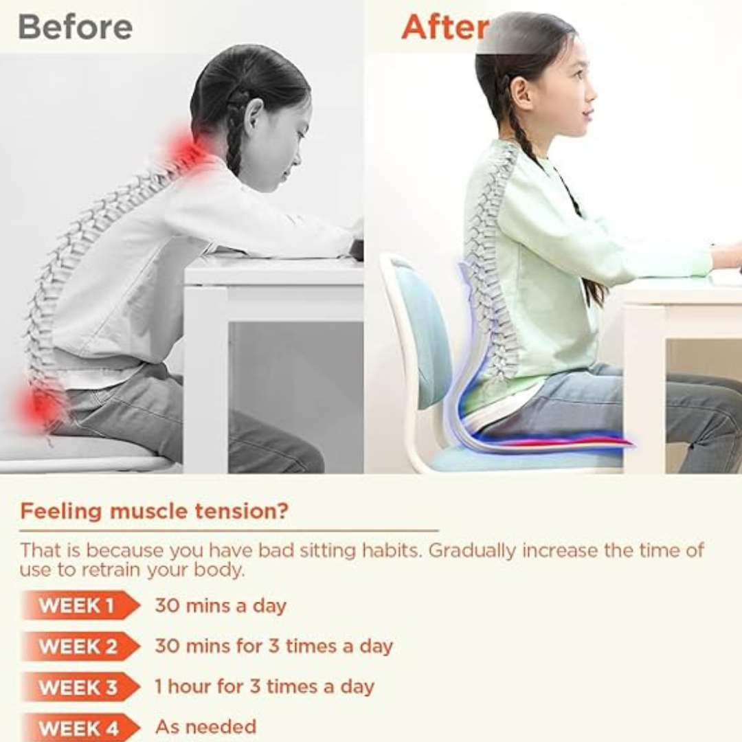 Comfort Posture Correction Chair Seat | Ergonomic Back Support - Image 2